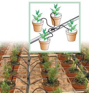 Arduino: ¿Qué es y para qué sirve?